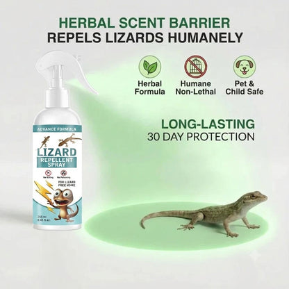 Lizard Repellent Spray for Home & Kitchen | Herbal & Natural Formula | Safe for Family | Insect Free India (Pack of 2)